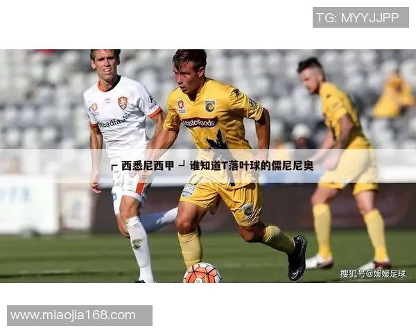 足球明星摩笛的职业生涯与成就解析及其对足球的影响