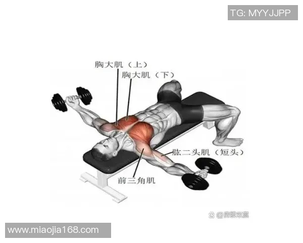 哑铃训练肩部肌肉的有效方法与技巧分享